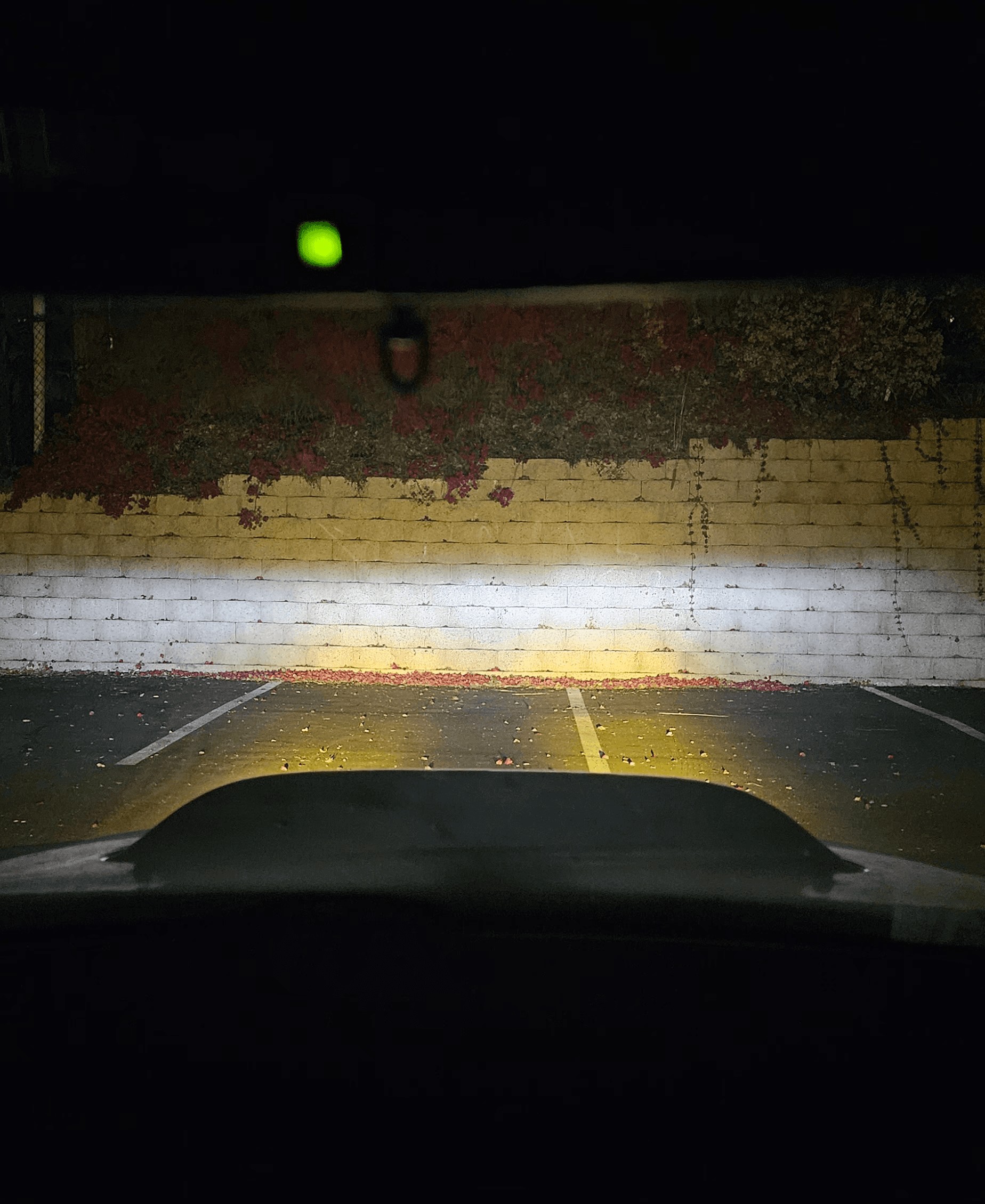 smithtronic foglight beam pattern