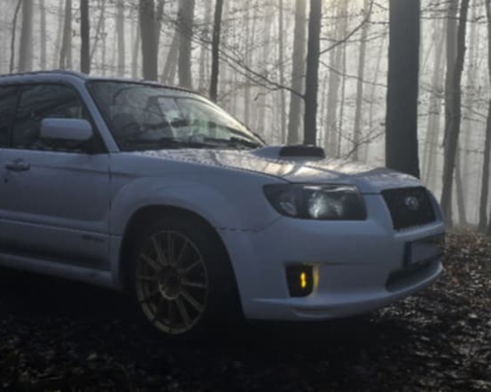White Subaru Forester Sports in a misty forest with amber fog lights lit