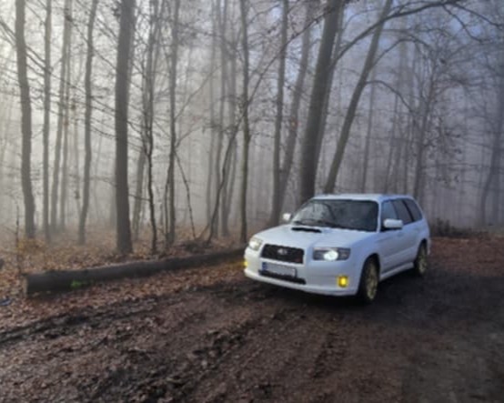 White Forester parked among bare trees with amber fog lights lit