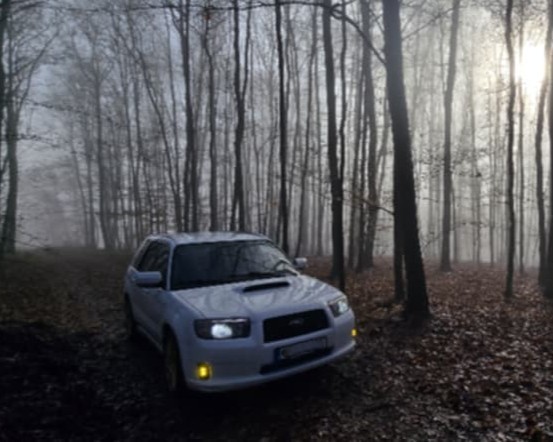 White Forester in a foggy forest clearing with amber fog lights on