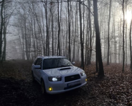 White Forester on a leaf-covered forest trail with amber fog lights lit